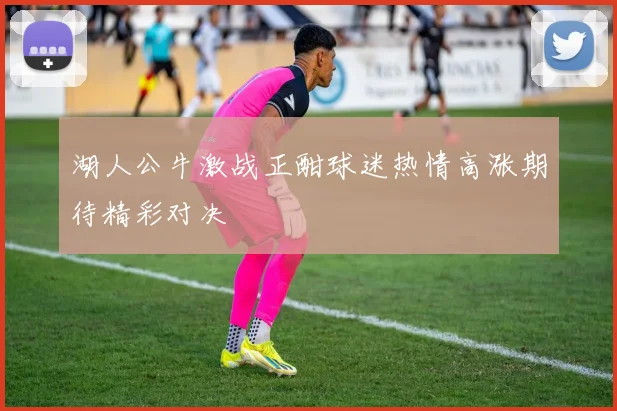 湖人公牛激战正酣球迷热情高涨期待精彩对决