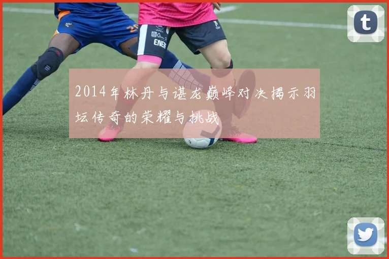 2014年林丹与谌龙巅峰对决揭示羽坛传奇的荣耀与挑战